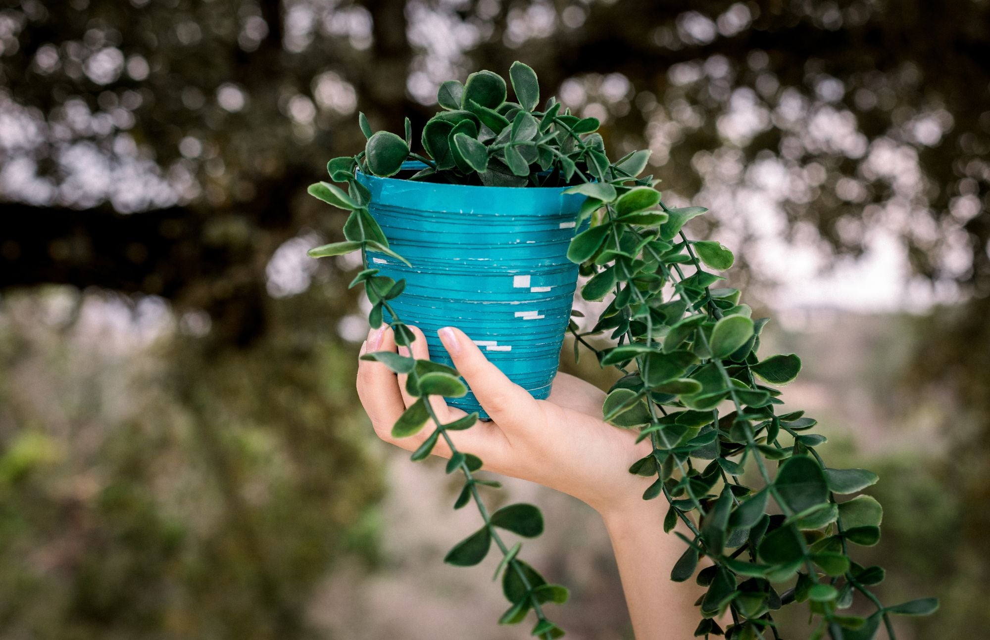 Paper Planters