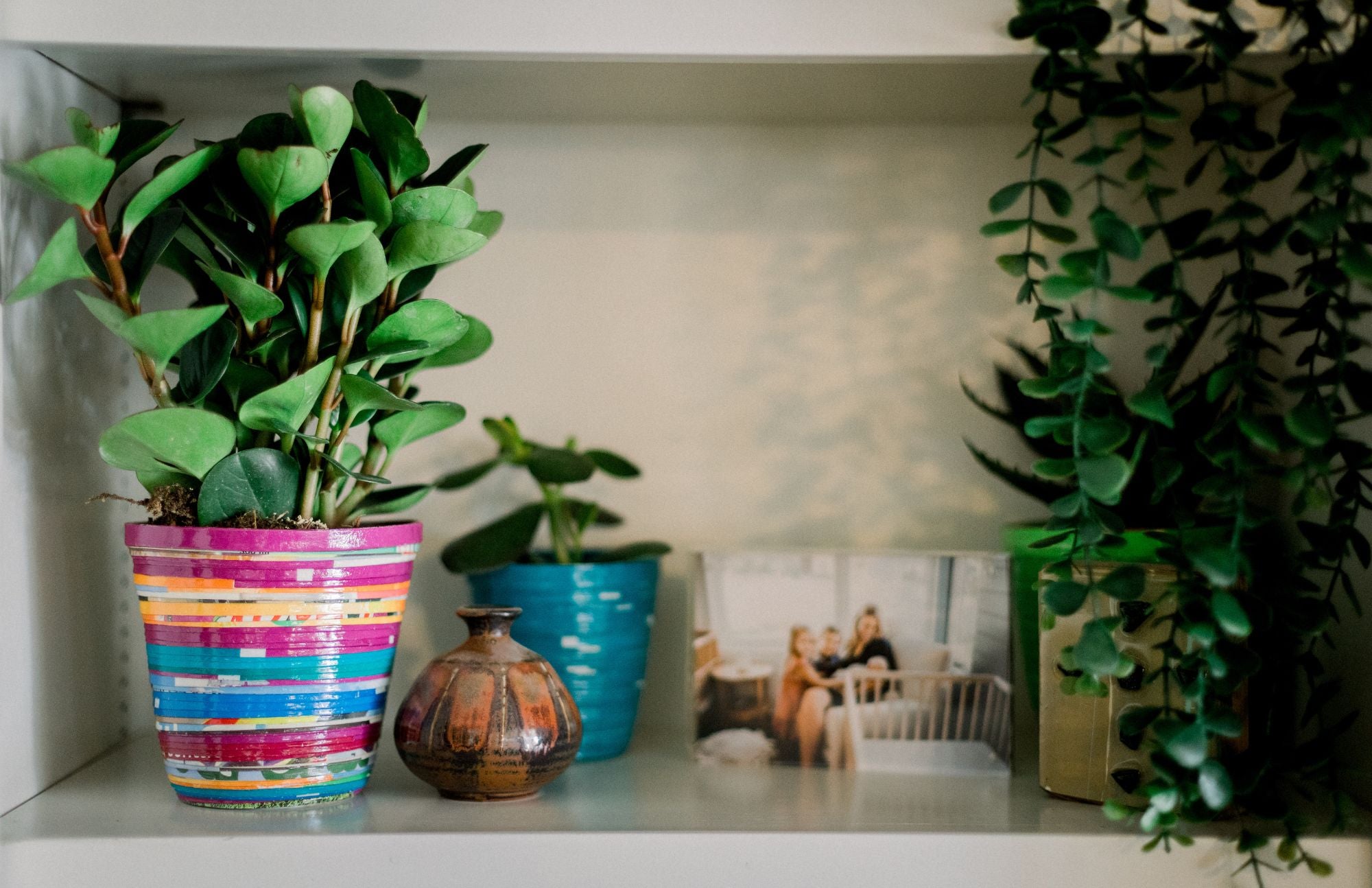 Paper Planters